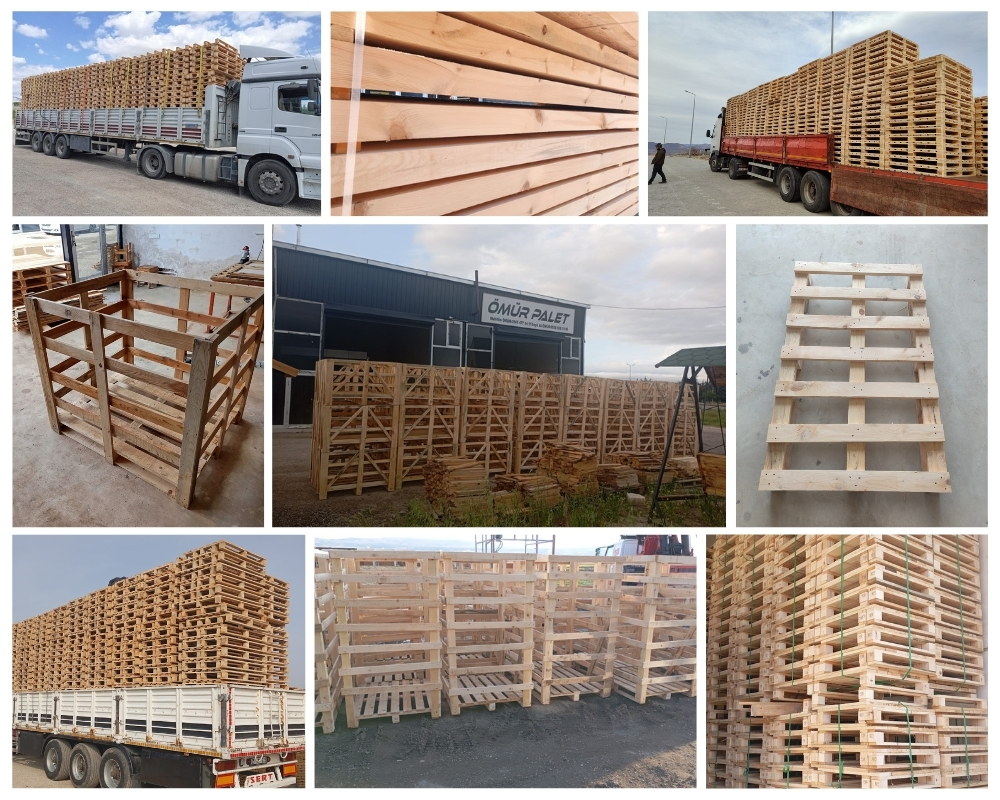 Hastings Wooden Pallets, Buy Wooden Pallets Wholesale